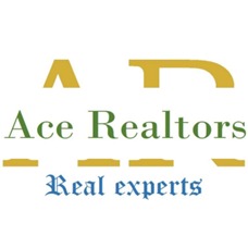 ACE REALTORS LTD